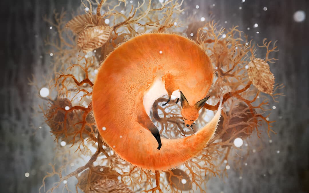 Marc Héroux, Photographe