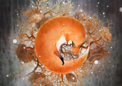 Marc Héroux, Photographe