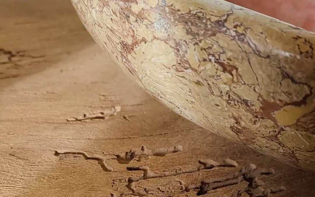 Alain La Pietra, staffeur-stucateur, Tadelakt