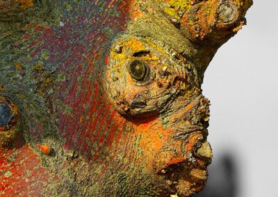 Bruno Boigontier, Artiste Peintre & Photographe